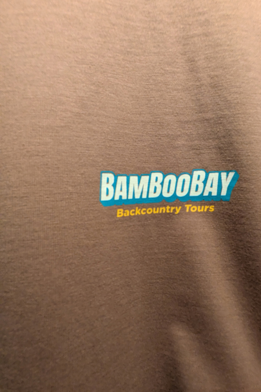 Tours Mens T-Shirt Taupe